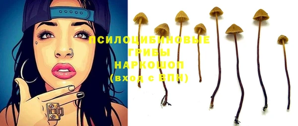 MESCALINE Горняк